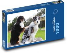 Border kólia Puzzle 1000 dielikov - 60 x 46 cm