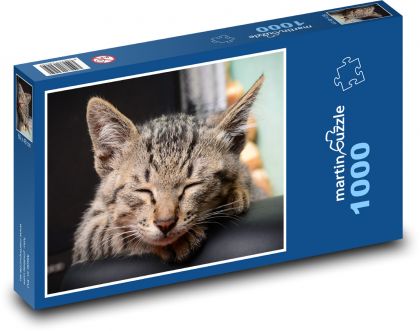 Kočka domácí - puzzle 1000 dílků