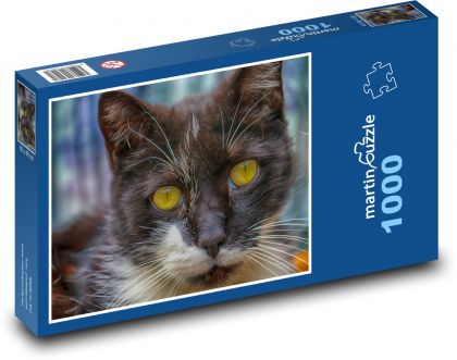 Zviera - mačka - Puzzle 1000 dielikov, rozmer 60x46 cm