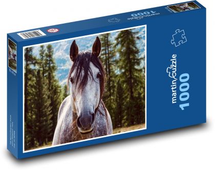 Kôň, žrebec - Puzzle 1000 dielikov, rozmer 60x46 cm