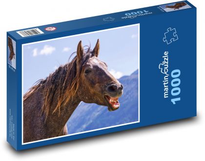 Hnědý kůň - Puzzle 1000 dílků, rozměr 60x46 cm
