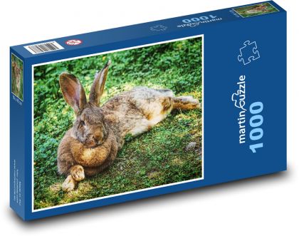Wild rabbit - Puzzle 1000 pieces, size 60x46 cm 
