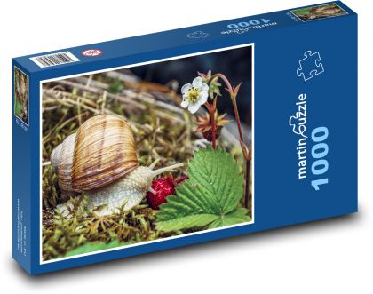 Garden snail - Puzzle 1000 pieces, size 60x46 cm 