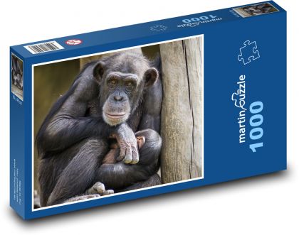Chimpanzee, monkey - Puzzle 1000 pieces, size 60x46 cm 