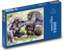 Šimpanzi, rodina Puzzle 1000 dílků - 60 x 46 cm