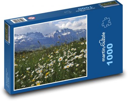 Horská louka - Puzzle 1000 dílků, rozměr 60x46 cm