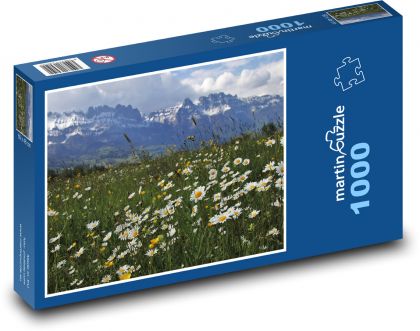 Horská lúka - Puzzle 1000 dielikov, rozmer 60x46 cm