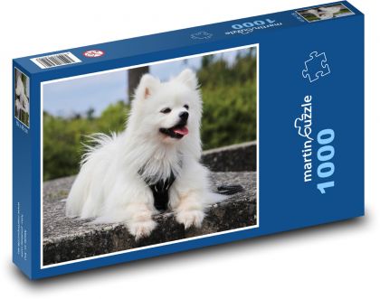 Nemecký špic - Puzzle 1000 dielikov, rozmer 60x46 cm