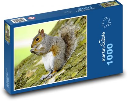 Graues Eichhörnchen - Puzzle - 1000 Teile