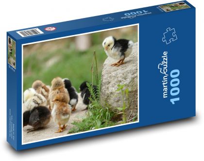 Chicken, chicks - Puzzle 1000 pieces, size 60x46 cm 