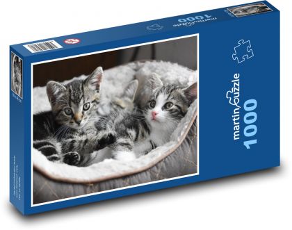 Koťata, koťátka - Puzzle 1000 dílků, rozměr 60x46 cm