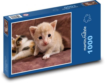 Koťátko - Puzzle 1000 dílků, rozměr 60x46 cm