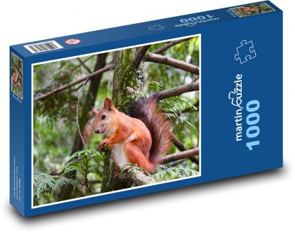 Gryzoń - wiewiórka - Puzzle 1000 elementów, rozmiar 60x46 cm