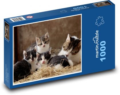 Młode koty - Puzzle 1000 elementów, rozmiar 60x46 cm