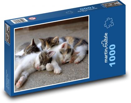 Koťata - Puzzle 1000 dílků, rozměr 60x46 cm
