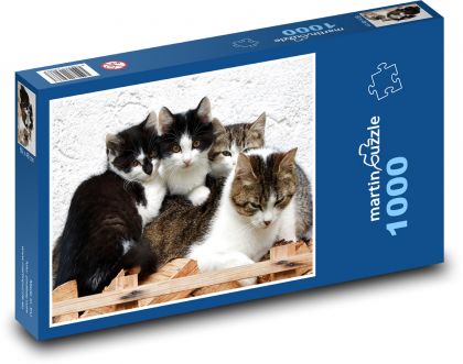 Kočka a koťata - Puzzle 1000 dílků, rozměr 60x46 cm