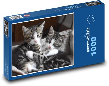 Słodkie kociaki - Puzzle 1000 elementów, rozmiar 60x46 cm