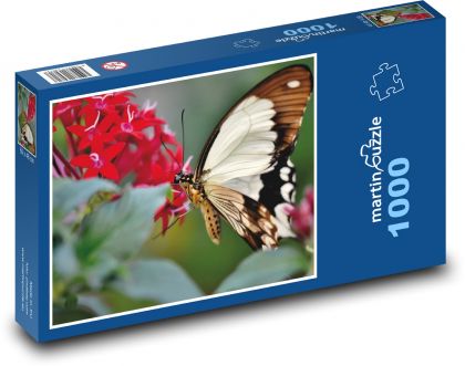 Tropical Butterfly - Puzzle 1000 pieces, size 60x46 cm 