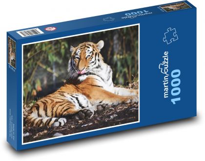 Tiger, šelma - Puzzle 1000 dielikov, rozmer 60x46 cm