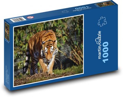 Tygr, velká kočka - Puzzle 1000 dílků, rozměr 60x46 cm