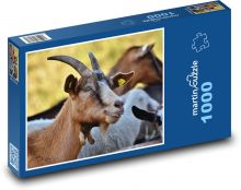 Koza hnědá Puzzle 1000 - 60x46 cm