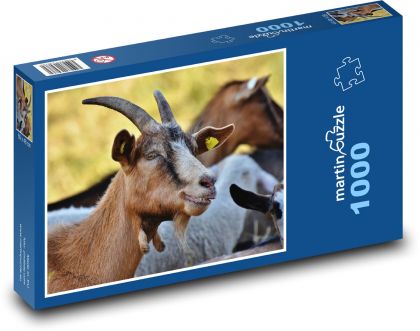 Koza hnedá - Puzzle 1000 dielikov, rozmer 60x46 cm