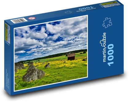 Meadow, countryside - Puzzle 1000 pieces, size 60x46 cm 