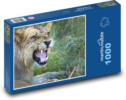 Zviera, lev - Puzzle 1000 dielikov, rozmer 60x46 cm