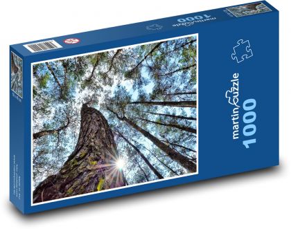 Trees, forest, nature - Puzzle 1000 pieces, size 60x46 cm 