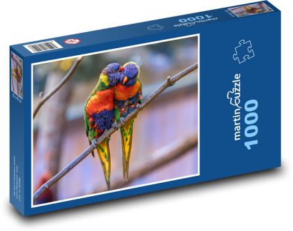 Papoušci, exotické ptactvo - Puzzle 1000 dílků, rozměr 60x46 cm