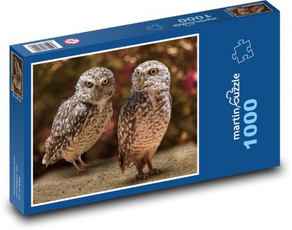 Vtáky - Sova - Puzzle 1000 dielikov, rozmer 60x46 cm