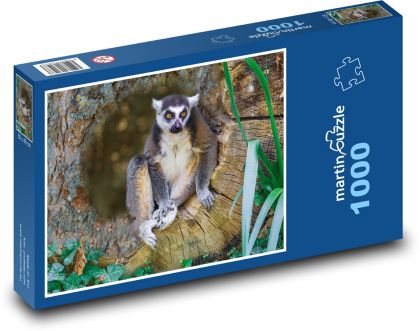 Lemur in a tree - Puzzle 1000 pieces, size 60x46 cm 