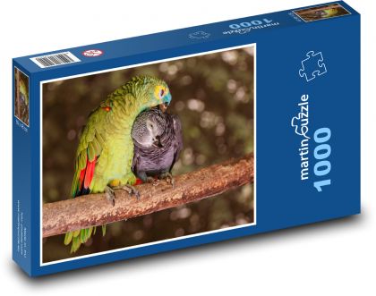 Papoušci, ptactvo - Puzzle 1000 dílků, rozměr 60x46 cm