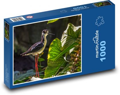 Bird in nature - Puzzle 1000 pieces, size 60x46 cm 