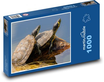 Želvy ve vodě - puzzle 1000 dílků