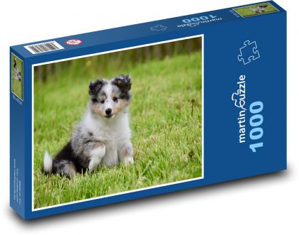 Pes, štěně, mládě - Puzzle 1000 dílků, rozměr 60x46 cm