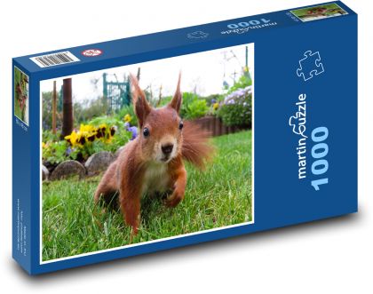 Veverka na zahradě - puzzle 1000 dílků
