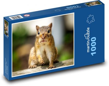 Veverička stromová - Puzzle 1000 dielikov, rozmer 60x46 cm