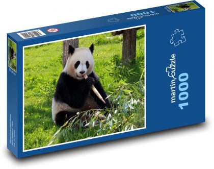 Panda velká - Puzzle 1000 dílků, rozměr 60x46 cm