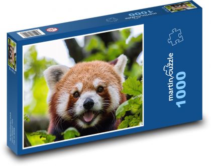Medvídek - Panda červená - Puzzle 1000 dílků, rozměr 60x46 cm