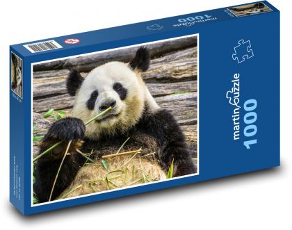Miś panda - Puzzle 1000 elementów, rozmiar 60x46 cm