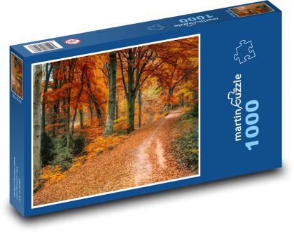 Cesta, jeseň, príroda - Puzzle 1000 dielikov, rozmer 60x46 cm