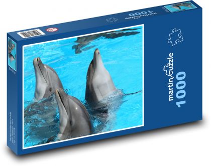 Zvířata - delfíni - Puzzle 1000 dílků, rozměr 60x46 cm