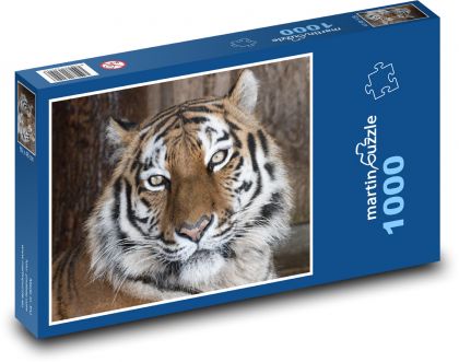 Tygr, zvíře - Puzzle 1000 dílků, rozměr 60x46 cm