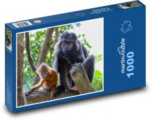 Opice na stromě Puzzle 1000 - 60x46 cm