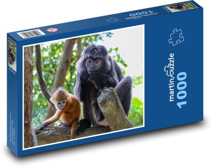 Zvířata - opice - Puzzle 1000 dílků, rozměr 60x46 cm