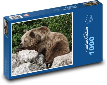Brown bear - Puzzle 1000 pieces, size 60x46 cm 