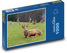 Jeleň na lúke Puzzle 1000 dielikov - 60 x 46 cm 