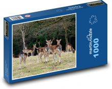 Zvířata - daněk evropský Puzzle 1000 dílků - 60 x 46 cm