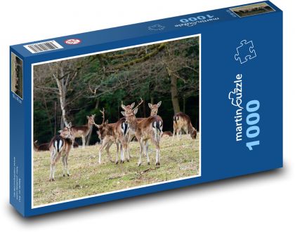 Zvířata - daněk evropský - Puzzle 1000 dílků, rozměr 60x46 cm